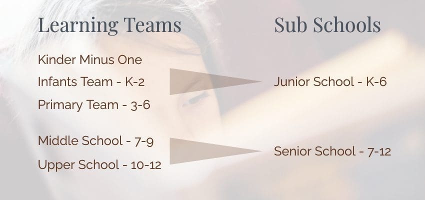 St Spyridon College Structure